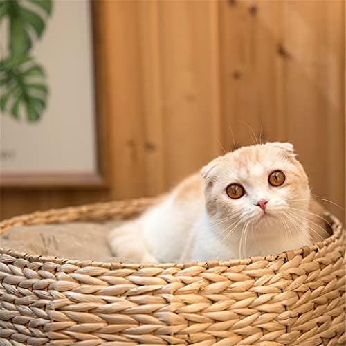חתולי טיפוס מסגרת חתולי המלטת חתולי עץ חתולי בית קיץ חתולי המלטת קטן חתולי צעצוע ציוד לחיות מחמד