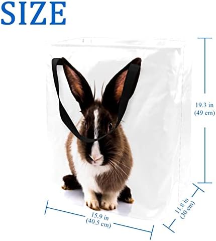 סל כביסה מתקפל בהדפס ארנב מטופש, סלי כביסה עמידים למים 60 ליטר אחסון צעצועי כביסה לחדר שינה בחדר האמבטיה במעונות